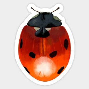 Ladybird Beetle Design Sticker
